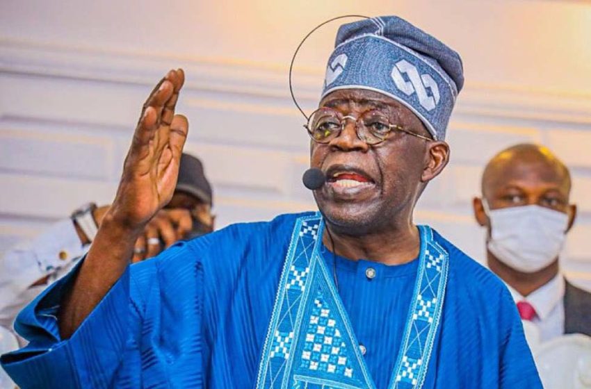 Tinubu Cites Lack Of Electricity As Greatest Impediment To Economic Development