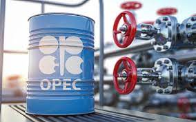  Growth in Chinese oil demand outweighs OECD weakness, says OPEC