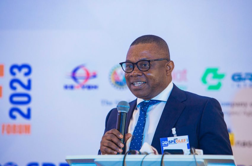 Seplat Energy Aggressive about Sustainability, Energy Transition – COO