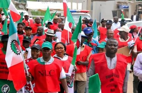 Subsidy Removal: NLC To Begin Nationwide Strike Wednesday
