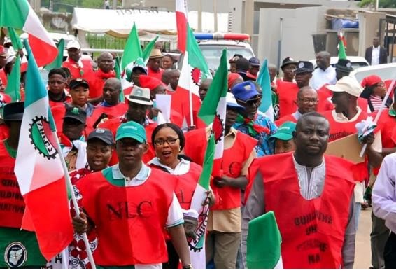  Subsidy Removal: NLC To Begin Nationwide Strike Wednesday
