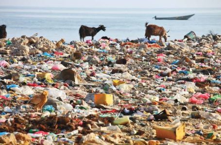 UNDP, NGO Partner to Global Address Plastic Pollution, Behavioural Changes