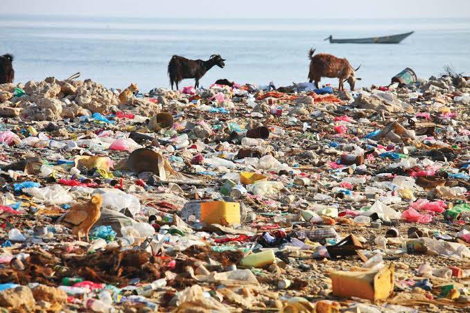  UNDP, NGO Partner to Global Address Plastic Pollution, Behavioural Changes
