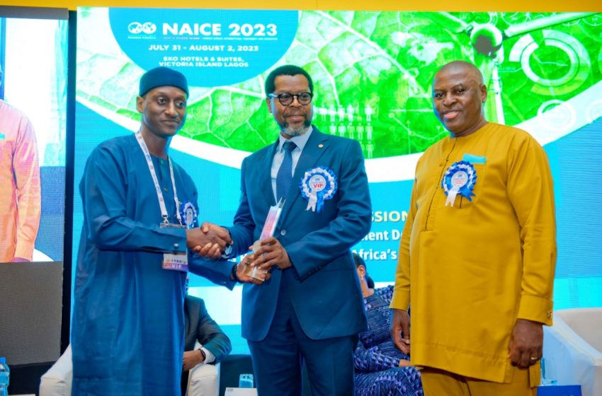 FDI key to Africa’s gas reserves development –SNEPCo MD