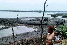  3,000 Barrels of Crude Lost to November 15 Offshore Spill, Says NOSDRA