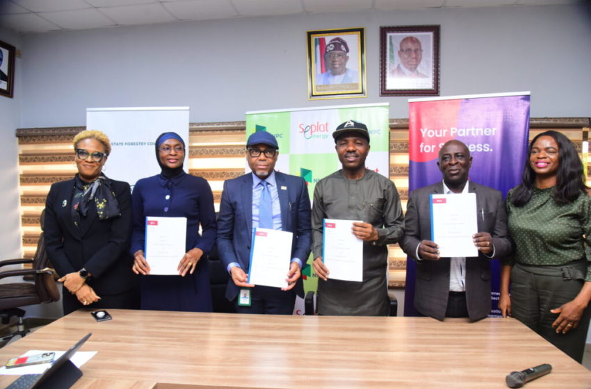 NNPCL/Seplat JV, Edo Govt. Commence Climate Impact Mitigation