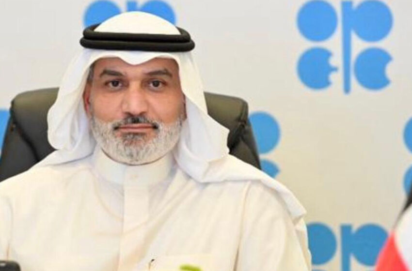 OPEC Chief Blames High Fuel Prices on Government Taxes, Not Dangote Refinery