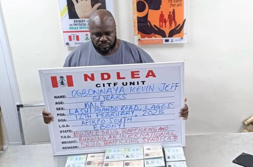 How NDLEA arrested wanted drug baron in Lagos over N1.4b seized illicit drugs – Marwa