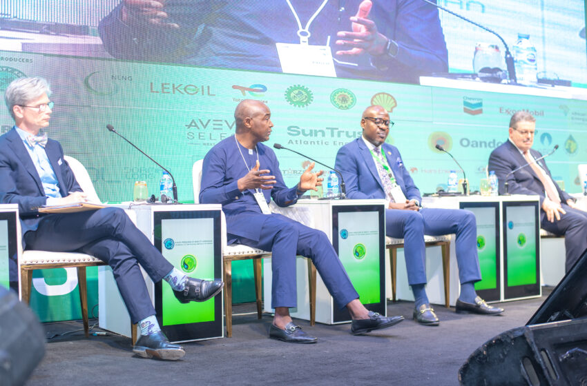 NLNG Urges National Prioritization of Energy Security at NIES 2025