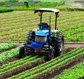 Dangote Group, Niger State, Forge Multi-Billion Naira Agric Partnership
