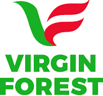  Investment Drive: Oborevwori Commissions New Virgin Forest Energy Fuel Station In Asaba