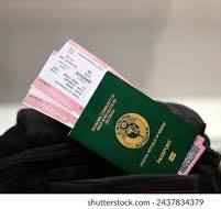 Interior Minister Says E-Visa System Processes Over 14,000 Applications in Six Weeks