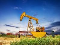 OPEC ESTIMATE BY 2030 TO AVO