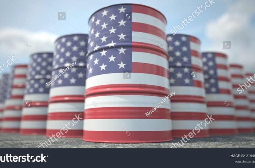 Annual US Crude Production Sets New Record in 2024, But Growth Pace Slows: EIA