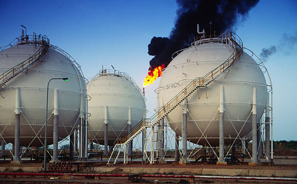 Bayelsa Government seeks stake in $3.5bn brass fertiliser, petrochemical project