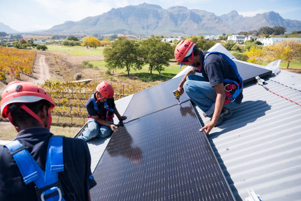 China plays major roles in Africa's green energy
