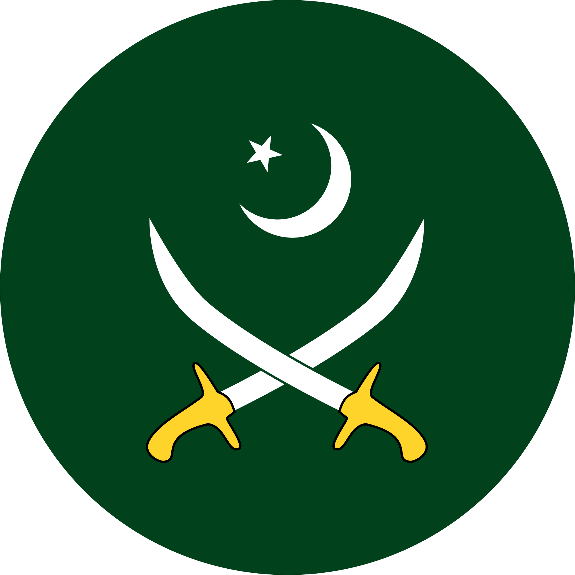 Pakistan Uses Diplomacy to Secure LNG Supply from Hormuz