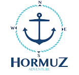 Hormuz Crisis Has Forever Changed Economics of Energy Security