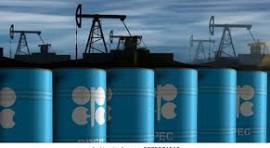 As Iran war disrupts supply, OPEC+ set to hold oil output steady